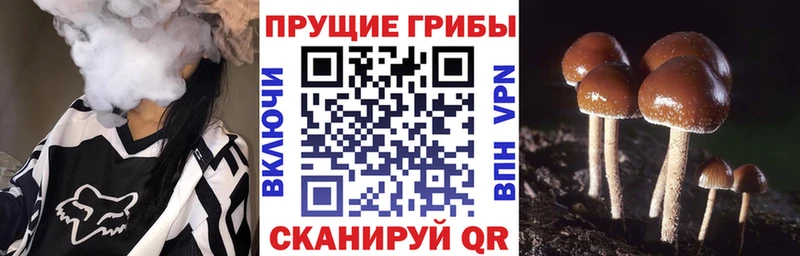 Псилоцибиновые грибы ЛСД  Балашов 